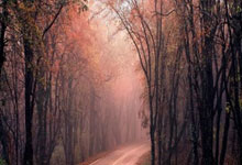 竞技宝：中沙之战现场观众为人，超名中国球迷现场助威.