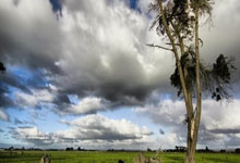 山东小将李晨洋打破撑竿跳高全国纪录.